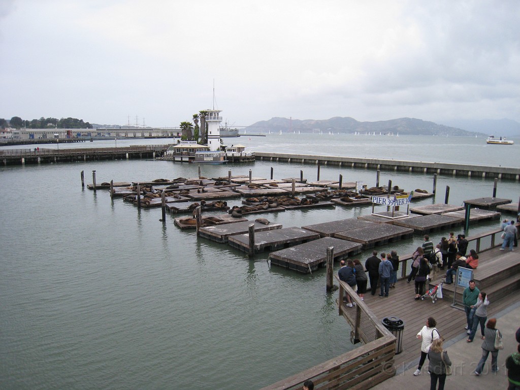 2011 Bay 2 Breakers Saturday 0325.JPG - I was able to participate in the 2011, 100th anniversary of the San Francisco Bay to Breakers 12K race. A great weekend for sight seeing and racing.